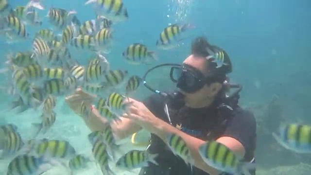 #Пхукет #Дайвинг #Пляж_Карон #Энерготерапия_Сознания #Депресс_и_Я #Море #Океан #Погружение #Солнце смотреть онлайн