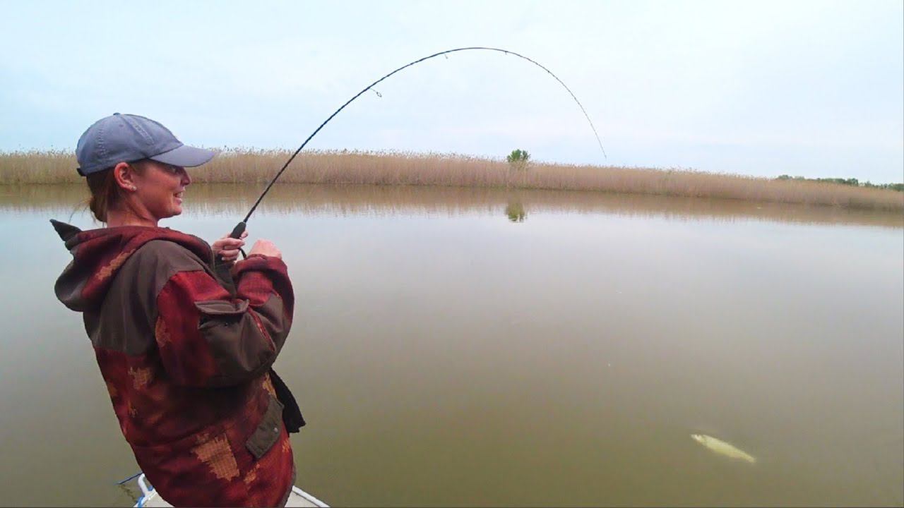 ПОЙМАЛИ РЫБУ НА ПОЛТОРА МИЛЛИОНА. Жена на рыбалке меня обловила. Нерест закончился, начался жор! смотреть онлайн