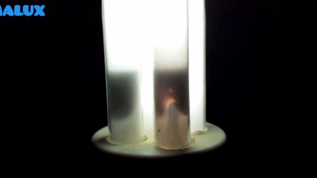 EOL CFL #12: PHILIPS Genie 5W Daylight 230v E27 смотреть онлайн