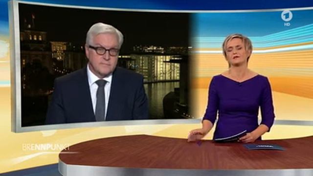 Frank-Walter Steinmeier, SPD, über die Herausforderungen des neuen Präsidenten Trump смотреть онлайн