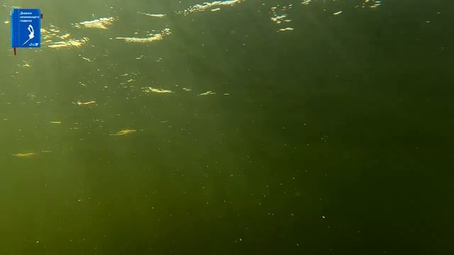 Учимся нырять. Первые шаги. Готовимся к подводной охоте. смотреть онлайн