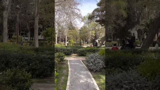 Католическая пасха, вербное воскресенье, православная пасха, загадайте самое заветное желание. смотреть онлайн
