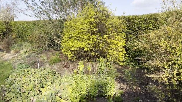 Морозники - растения из сказки. Национальная коллекция. Дизайн сада. Жизнь в Англии. №194 смотреть онлайн