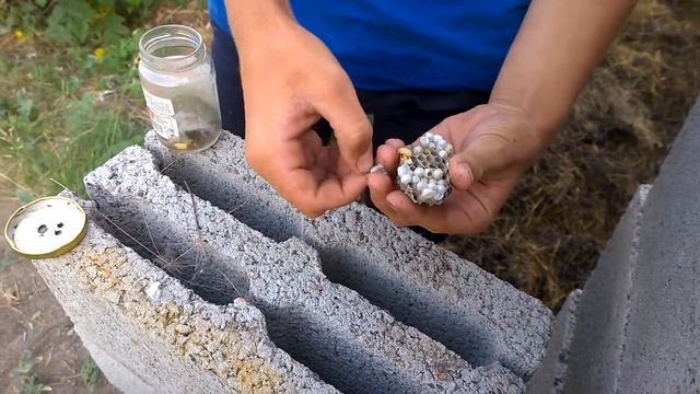 личинки ос как наживка для рыбалки смотреть онлайн