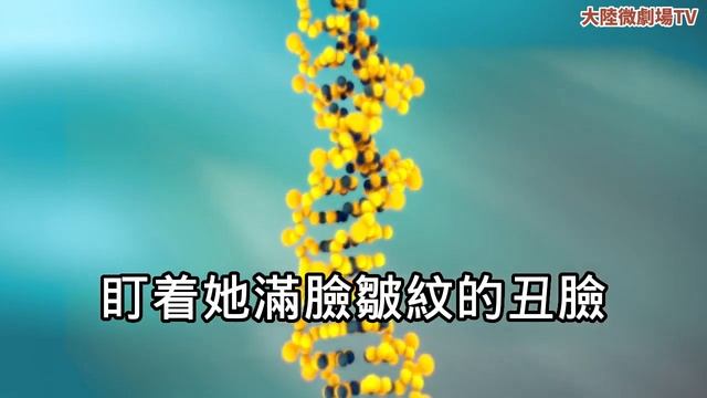無恥老太在我家飯店白吃兩年，不順意還要砸我飯店，直到砸壞50萬古董，事後我掏出法院判決後，下一秒她當場傻眼。#情感故事 #為人處世 #生活經驗 #養生 #養老 #家庭 #婚姻 #爽文 #故事 #講故 смотреть онлайн