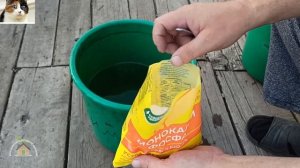 Корневая подкормка огурцов монокалий фосфатом при низких температурах