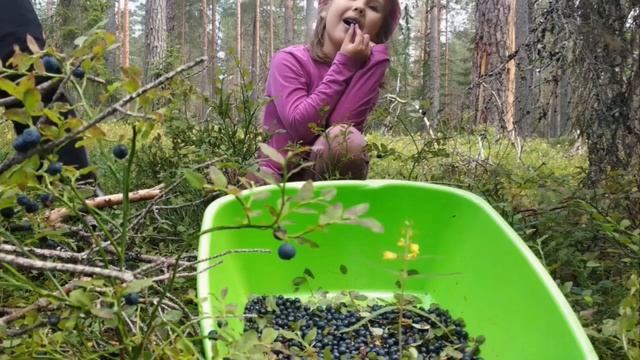 Я вчера поймал раков по пять рублей. Но больших, Но по пять рублей...Правда, большие.. Рыбалка 2020 смотреть онлайн