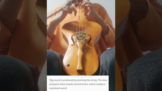 The Physics Behind The Violin Family