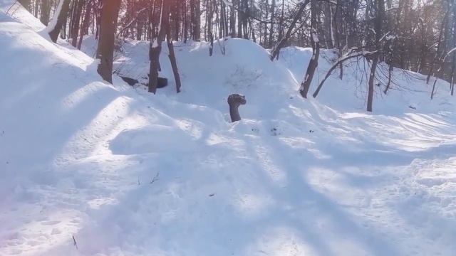 Парк Сосновый Бор Черкассы зимой. смотреть онлайн