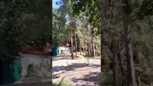 поселились в отеле в Волгограде смотреть онлайн