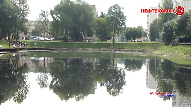 На оз.Светлом запустили белых амуров смотреть онлайн