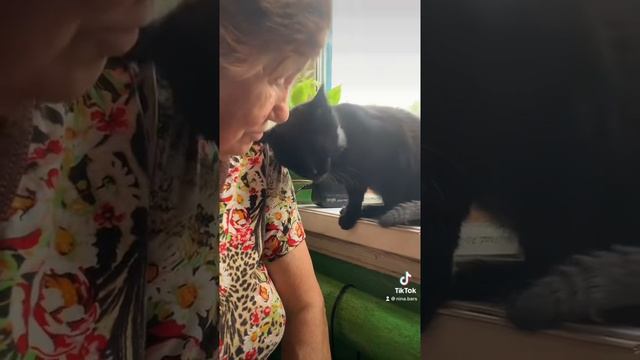 ЛЮБОВЬ КОТА К ХОЗЯЙКЕ!