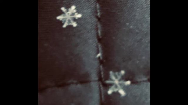 Nuno Henry Silva - Snowfall смотреть онлайн