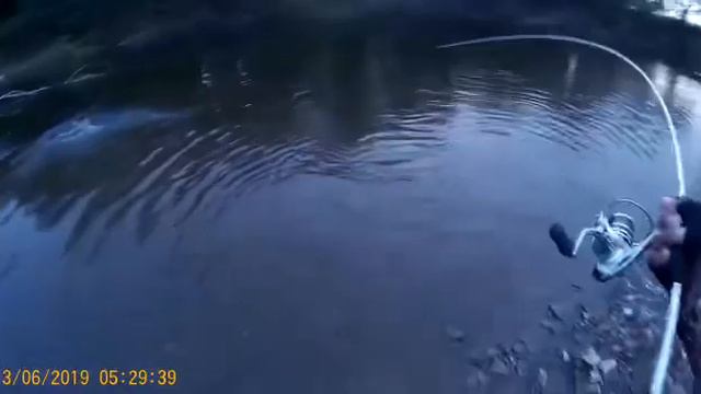 Сахалин. Сима. Вишневый лосось 3 смотреть онлайн