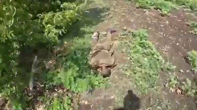 Подорвал себя гранатой Blew Himself Up With A Grenade