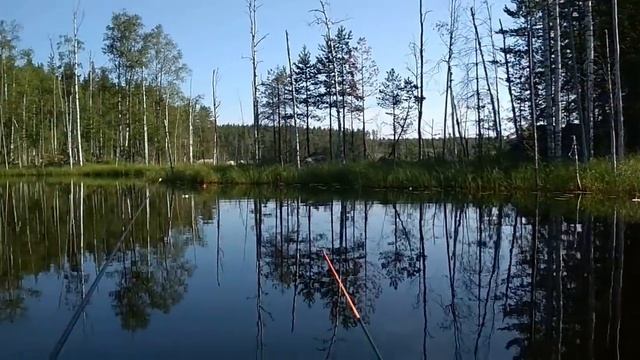 ЛОВЛЯ ЩУКИ на Живца в РФ с Лодки. ЗАЧЕМ нужен БИНОКЛЬ. ЩУКА на КРУЖКИ Fishing на жерлицы смотреть онлайн