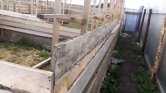 Строим гараж из опилкобетона (часть 1) смотреть онлайн