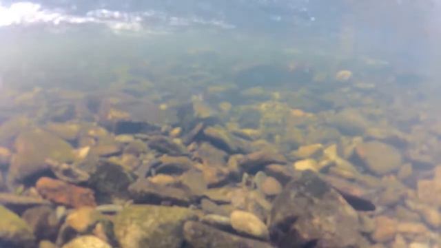 Рыбалка на Северном Урале смотреть онлайн