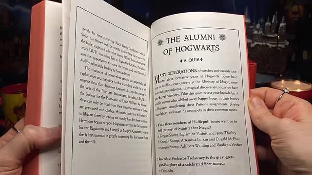 HARRY POTTER | GRYFFINDOR HOUSE EDITIONS PAPERBACK BOX SET REVIEW | MUSIC & AMBIENCE смотреть онлайн