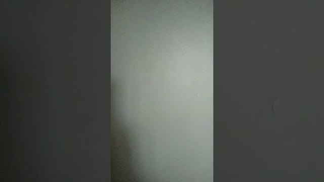 Международный день ЛЕГО смотреть онлайн