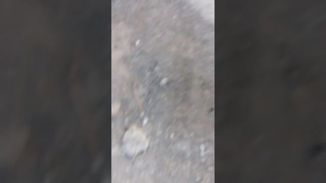 Асмр на улице часть 4 ?