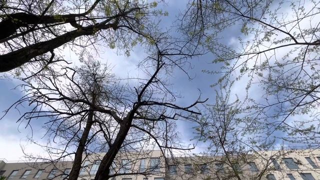 Одесса 3 мая 2022 года. Не остаться в этой траве. смотреть онлайн