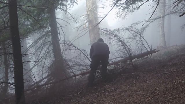 4 Shelter Buildings From Start To Finish,with Everything I Can Find In The Forest,skills,axe,saw,et