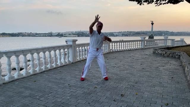 Ицюань / Yiquan (262 день). Тича и Гоугуа Чжуан / Пифа Шили / Цзоубу Цзуань Цюань смотреть онлайн