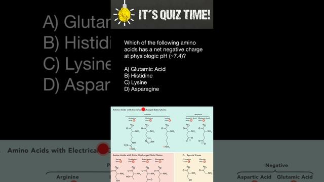 Amino acids quiz смотреть онлайн