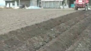 Окучник на трактор т-25.