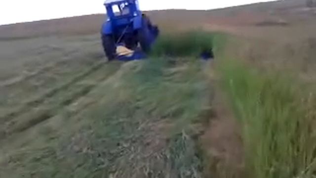 Косим сено в горной местности. смотреть онлайн