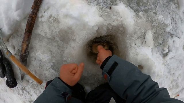 Поездка на рыбалку в Архангельскую обл. Рыбалка, отдых, природа. часть-2. смотреть онлайн