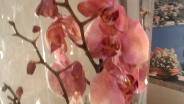 Вот что я купила на распродаже перед Новым годом очень - очень дёшево смотреть онлайн