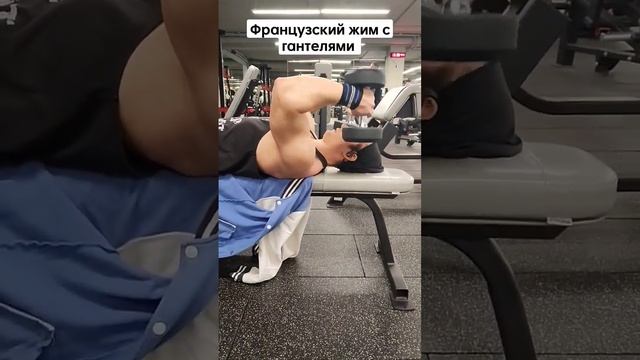 Французский жим с гантелями смотреть онлайн