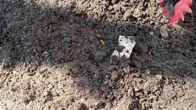 Старая новая клумба смотреть онлайн