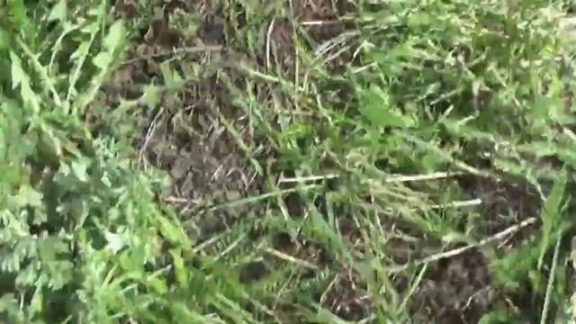 Сжигаем машинки смотреть онлайн