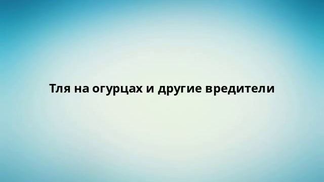 Тля на огурцах и другие вредители смотреть онлайн