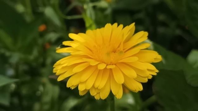 22 марта народный праздник Сорок Святых. Что нельзя делать 22 марта. Народные традиции и приметы. смотреть онлайн