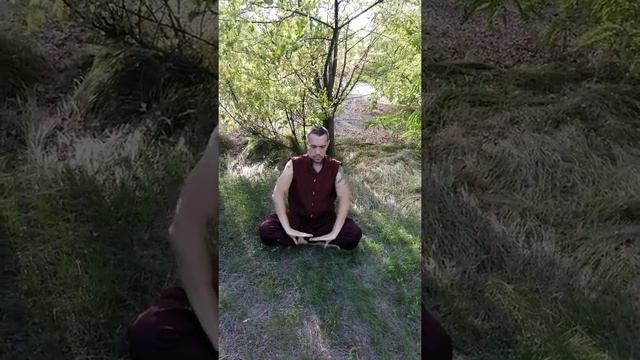 Си суй цзин смотреть онлайн