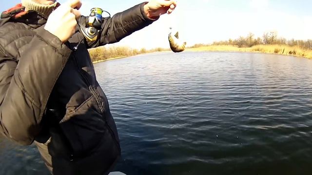 Окуня гиганты на первой рыбалке с лодки/март 2019 смотреть онлайн