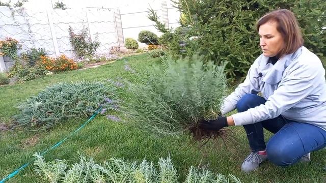 Мотоциклы и Экстрим