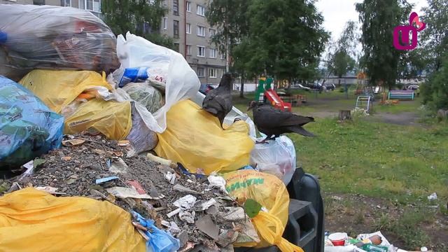 Как не платить за вывоз мусора смотреть онлайн