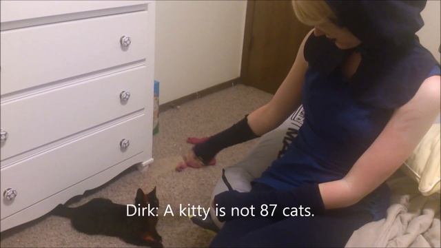 Roxy has too many cats смотреть онлайн