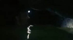 Хищные Воды; западня(2020)   Приключения, Ужасы,Триллер.