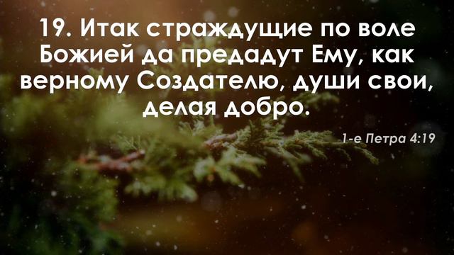 Молитвенное служение || 11.01.2023 смотреть онлайн