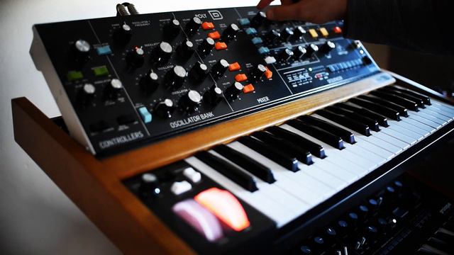 BEHRINGER POLY D - PARAPHONIA смотреть онлайн