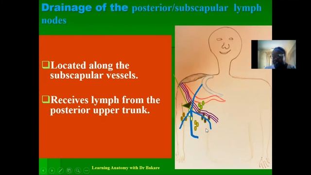 Axillary Lymph Nodes смотреть онлайн