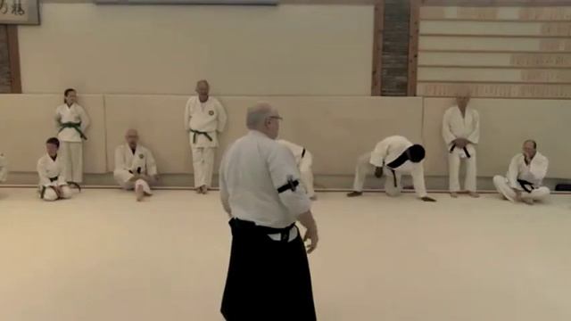 Aikido - Aiki - Internal Power - George Ledyard Sensei - Part 3