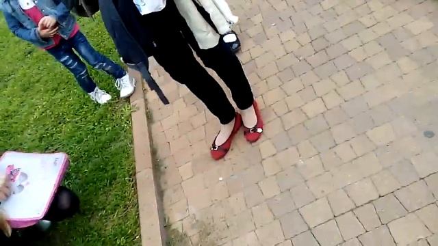 Кролики на улице Сочи можно гладить смотреть онлайн