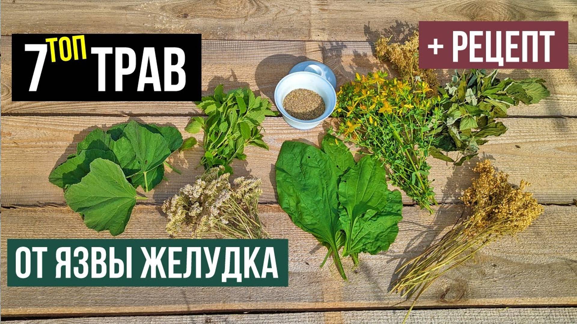 Лучшие травы для лечения язвы желудка и двенадцатиперстной кишки. Лекарственные растения при язве смотреть онлайн